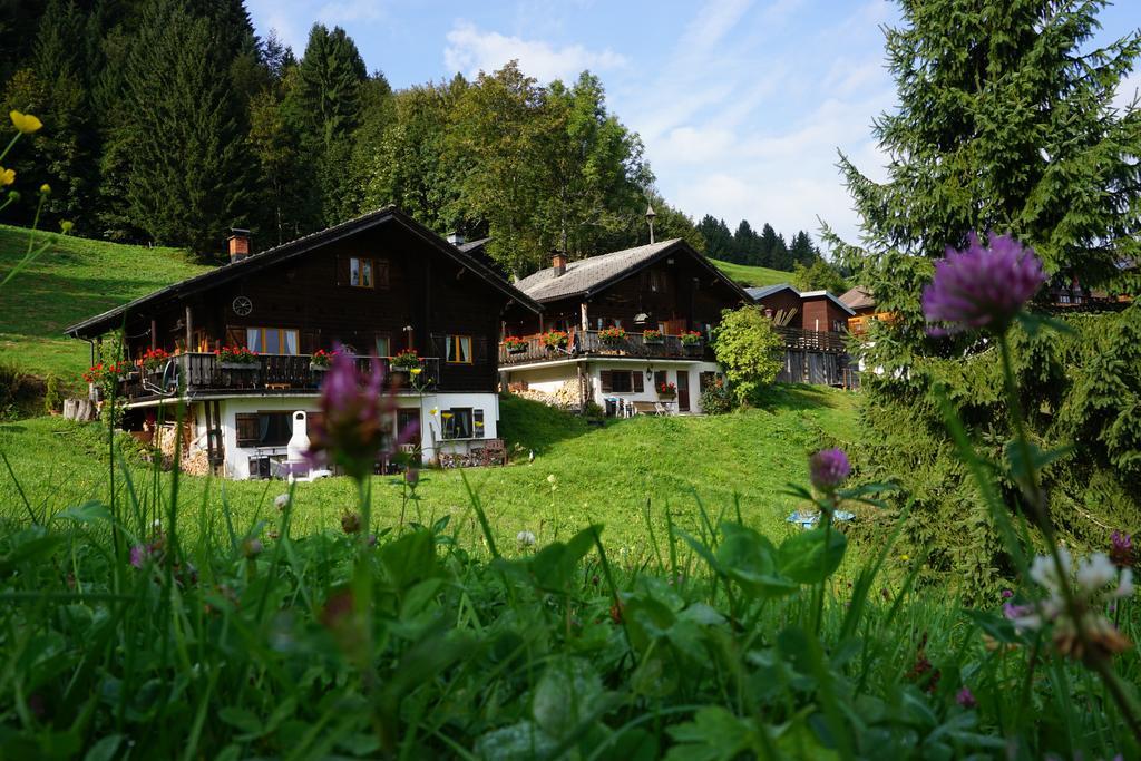 Ferienwohnungen Im Blockhaus Metzler Schwarzenberg im Bregenzerwald Exterior photo